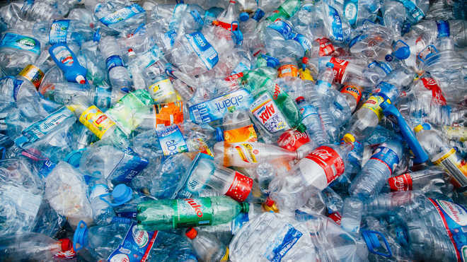 HP to buy plastic waste at  Rs  75/kg
