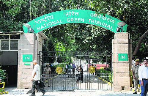 Submit report on action against illegal encroachments, says NGT