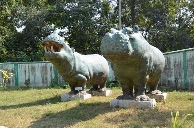 Fossil park in Sirmaur to get a makeover