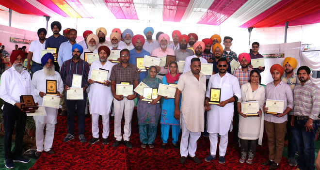 Prize winners of various competitions : The Tribune India